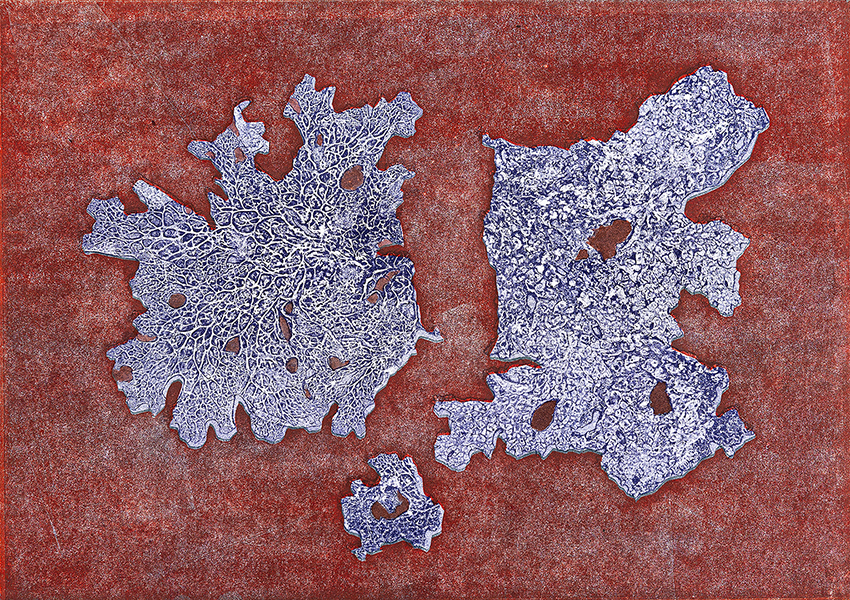 Caroline Younger: Purple Lichens on Red, 2019