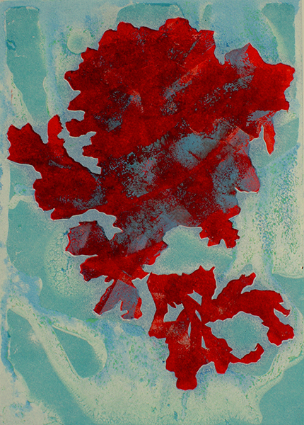Caroline Younger: Red Lichen on Blue, 2019
