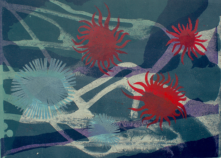 Caroline Younger: Red Sea Anemone on Grey, 2019