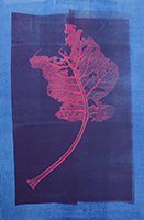 Caroline Younger: Chard Leaf 2, 2020