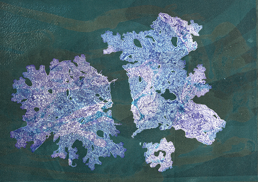 Caroline Younger: Purple & Blue Lichens, 2019