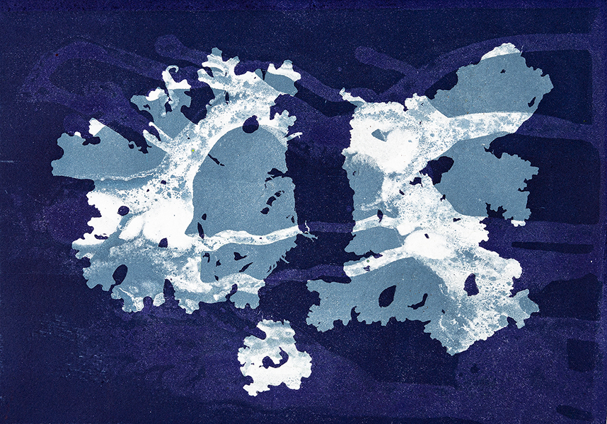 Caroline Younger: Blue & White Lichens, 2019