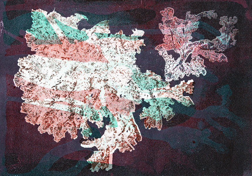 Caroline Younger: Pink, Green & Brown Lichen, 2019