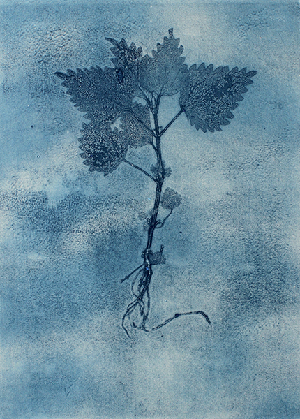 Caroline Younger: Nettle 5 Ghost, 2019