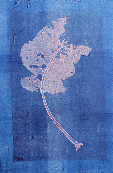 Caroline Younger: Chard Leaf 3, 2020