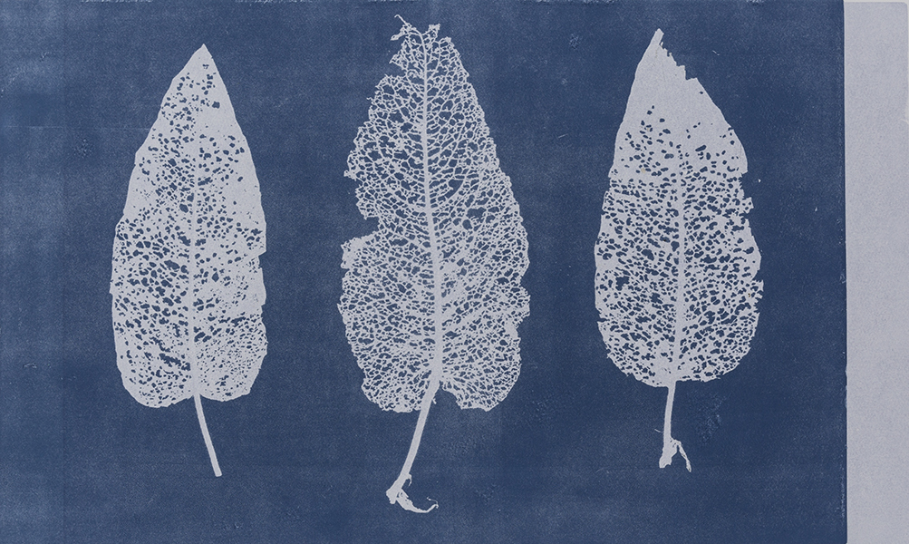 Caroline Younger: Leaves 6, 2016