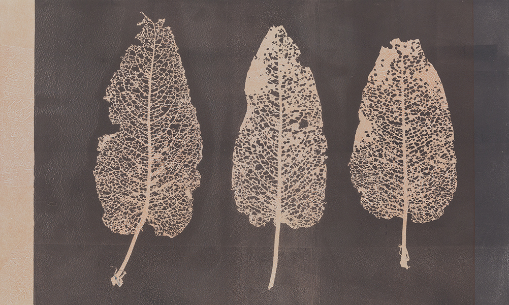 Caroline Younger: Leaves 2, 2016