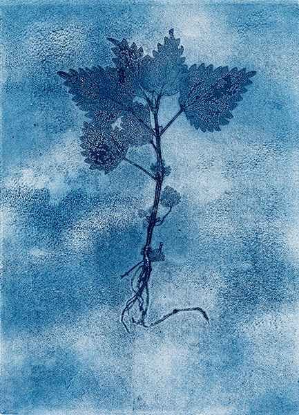 Caroline Younger: Nettle 4 Ghost, 2019